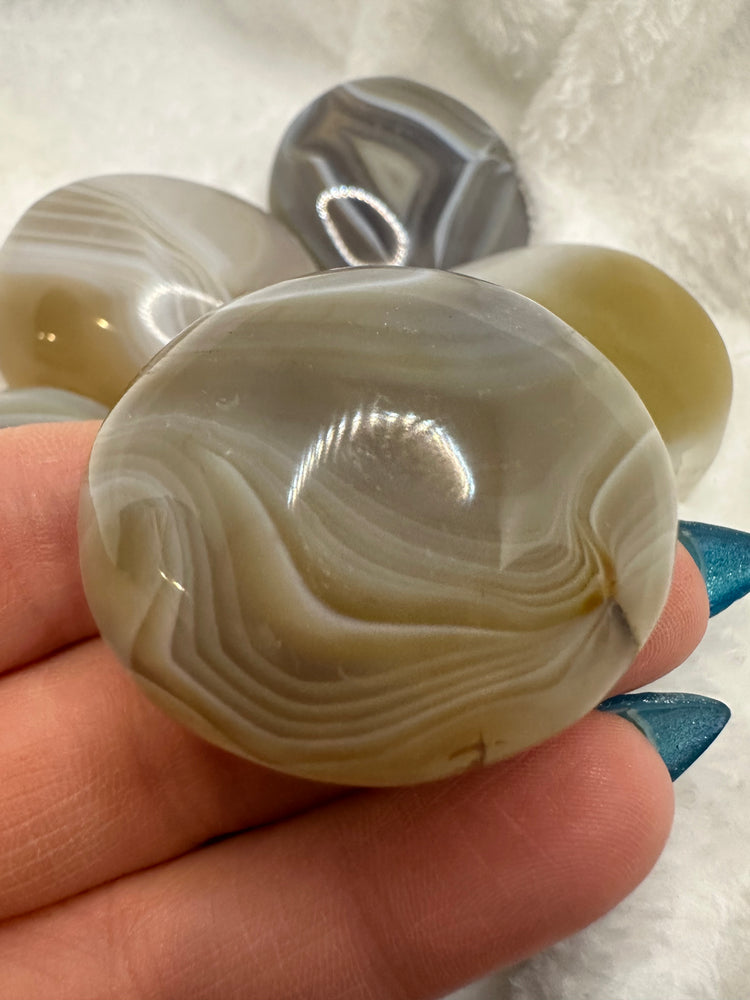 Agate Palm Stones