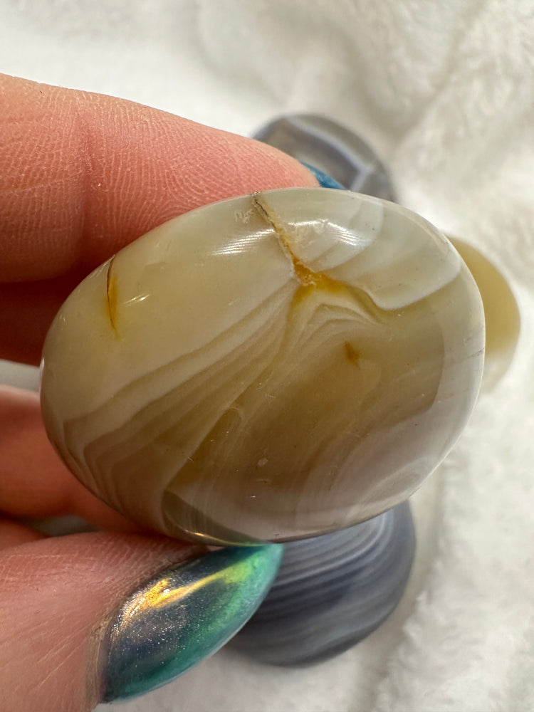 Agate Palm Stones