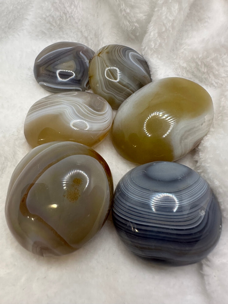 Agate Palm Stones