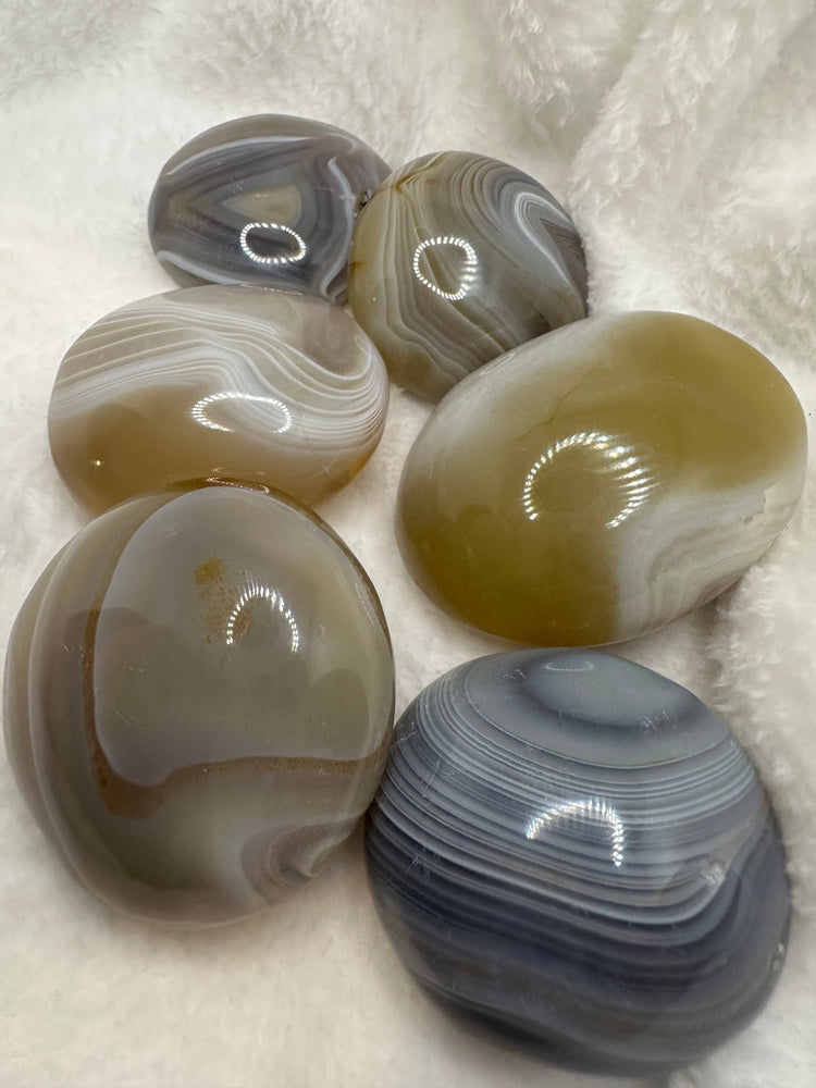 Agate Palm Stones