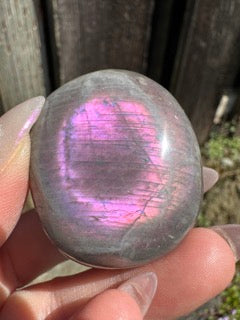 Labradorite Mini Palm Stones