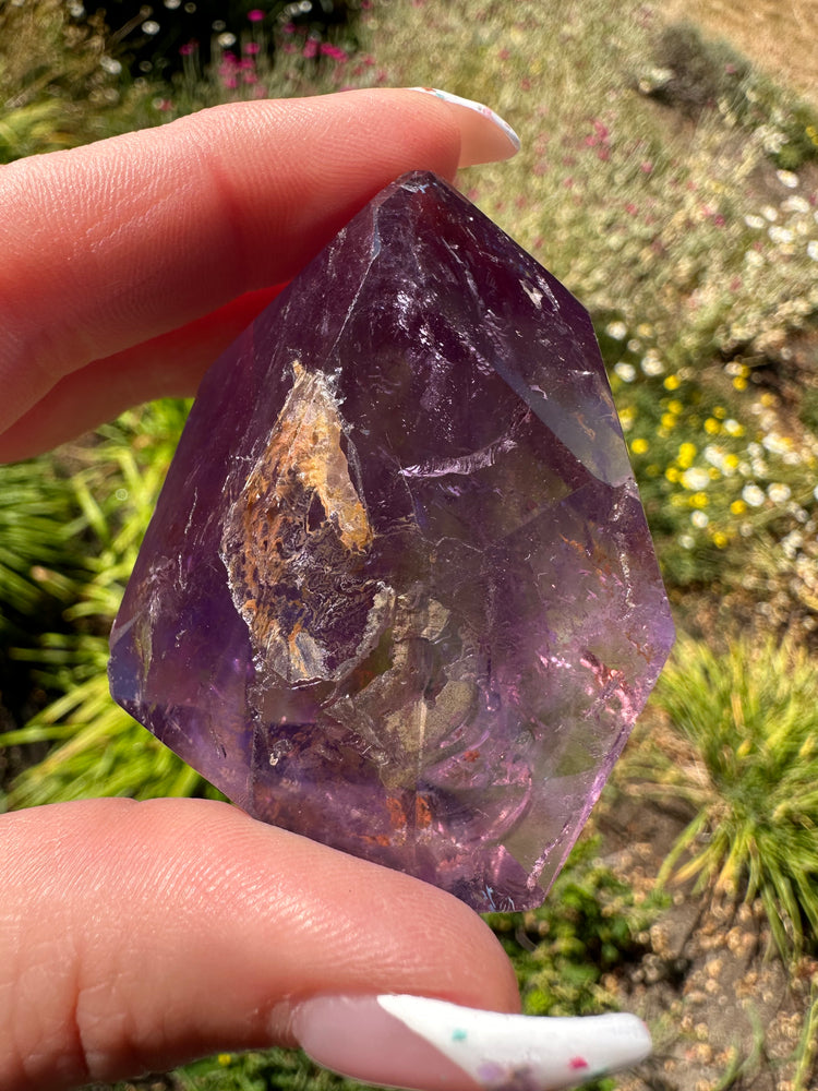 Crystal educator west seattle washingotn