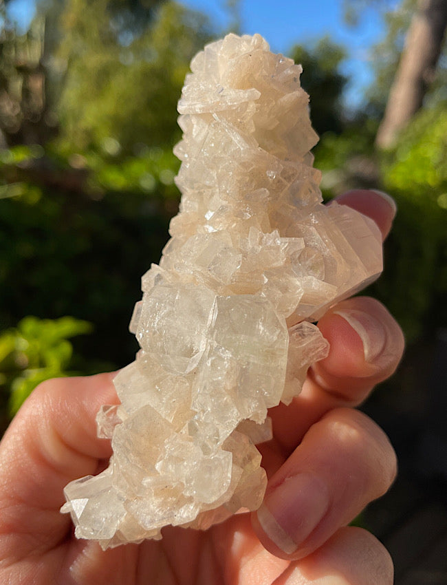 White Apophyllite Cluster
