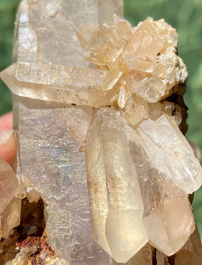 Zambian Lemurian Quartz