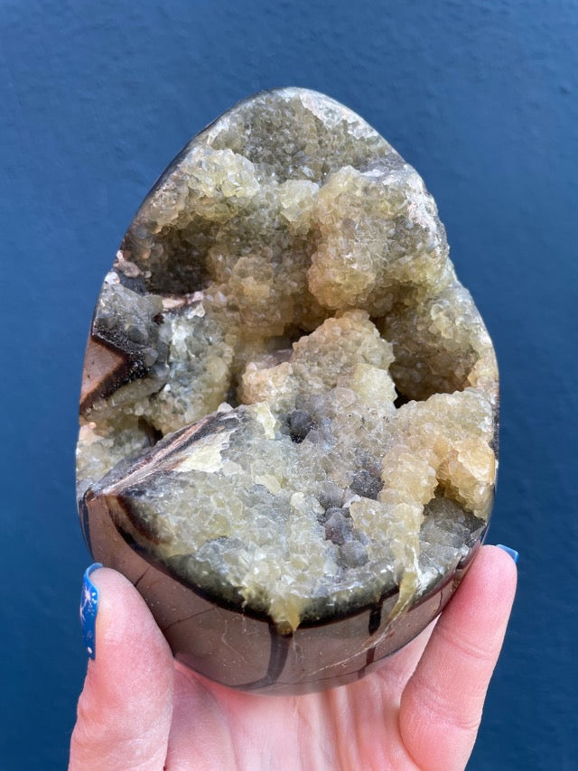 Septarian Geode “Dragon Egg”