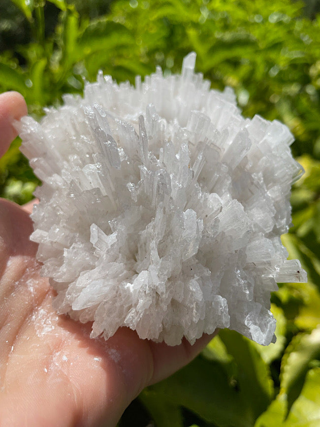 Scolecite