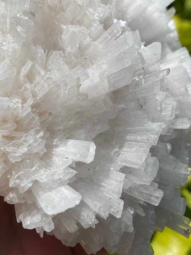 Scolecite