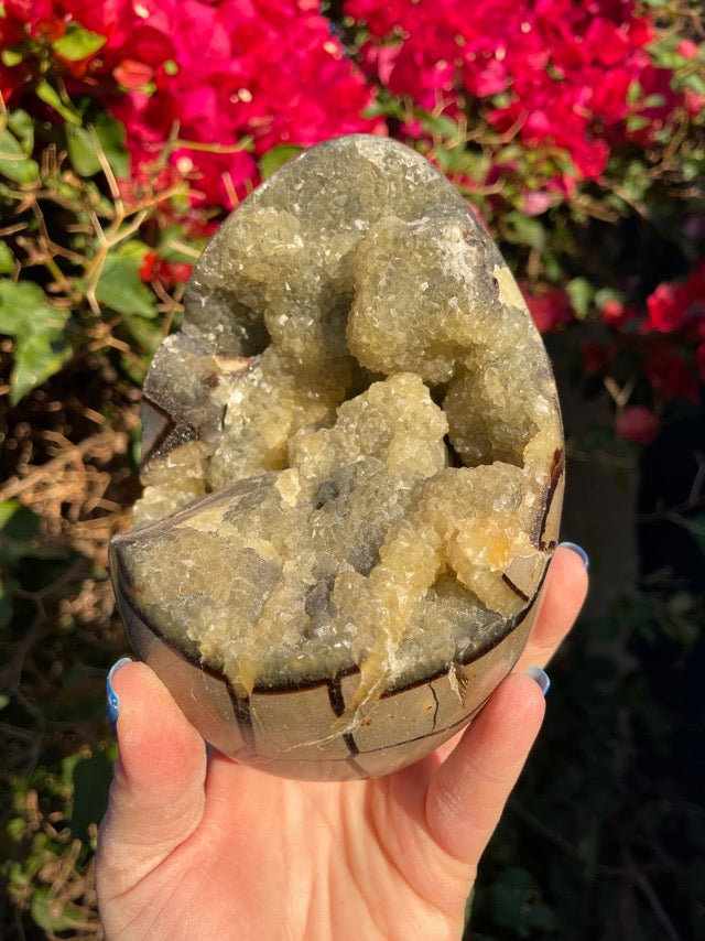 Septarian Geode “Dragon Egg”
