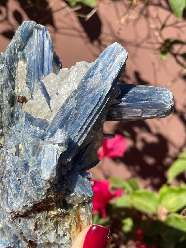 Large Blue Kyanite on Quartz Matrix