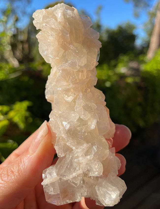 White Apophyllite Cluster