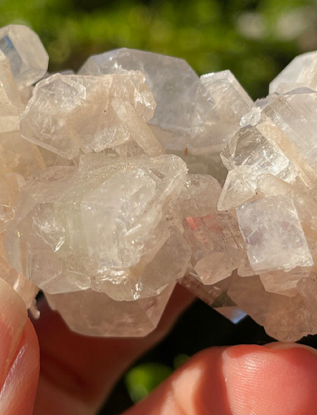 White Apophyllite Cluster