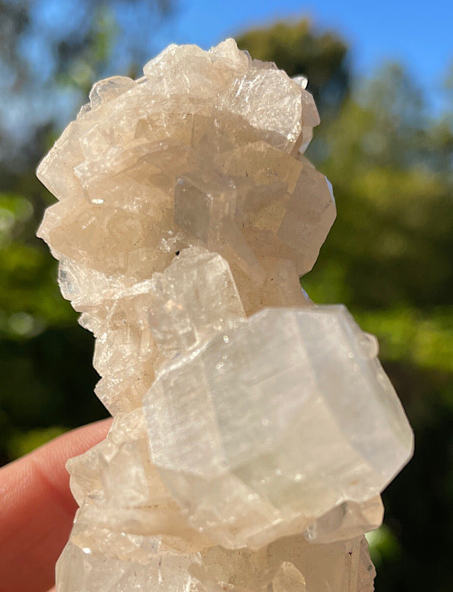 White Apophyllite Cluster