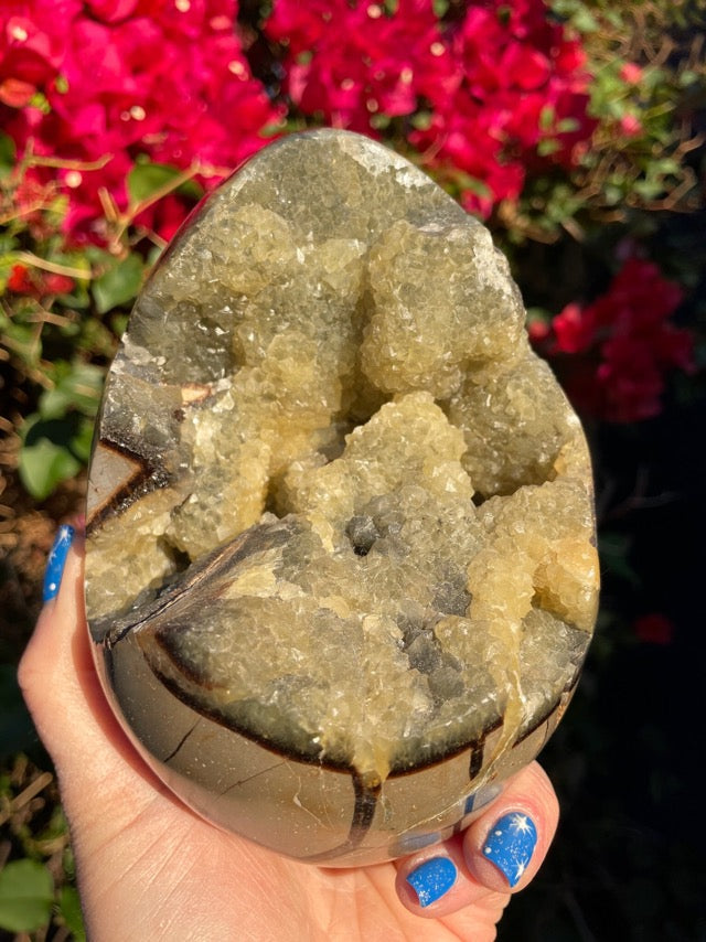Septarian Geode “Dragon Egg”