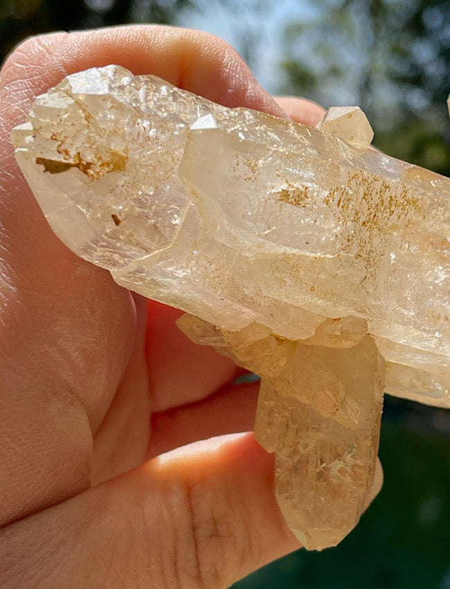 Zambian Lemurian Quartz
