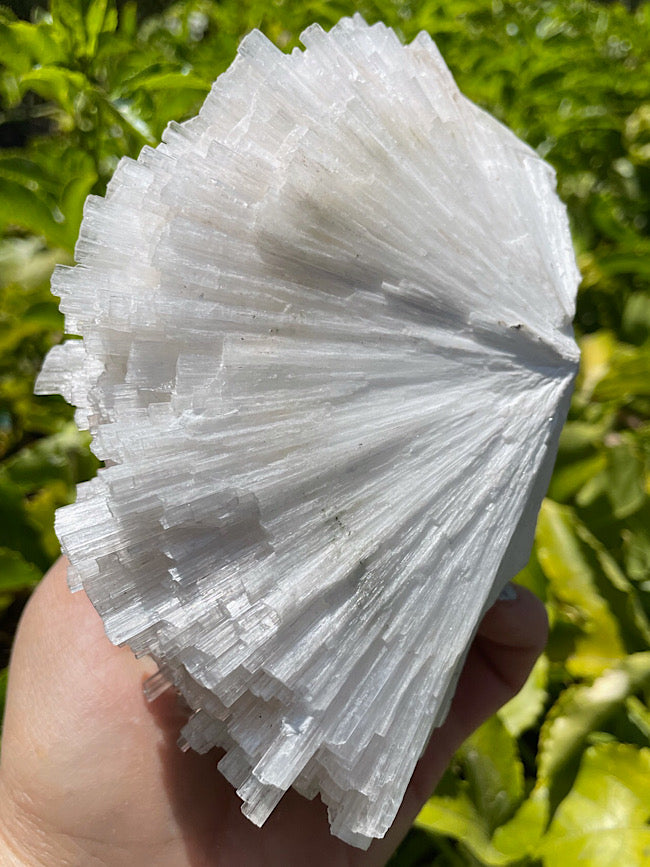 Scolecite