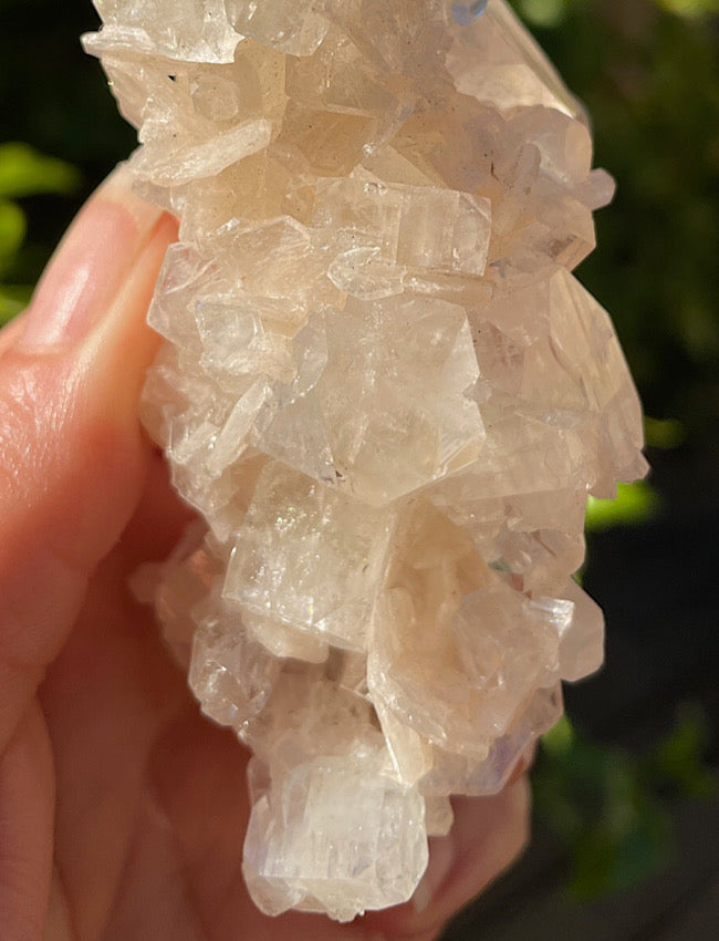 White Apophyllite Cluster