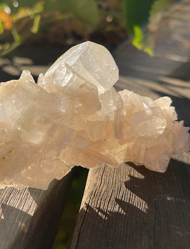 White Apophyllite Cluster