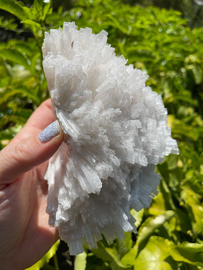 Scolecite