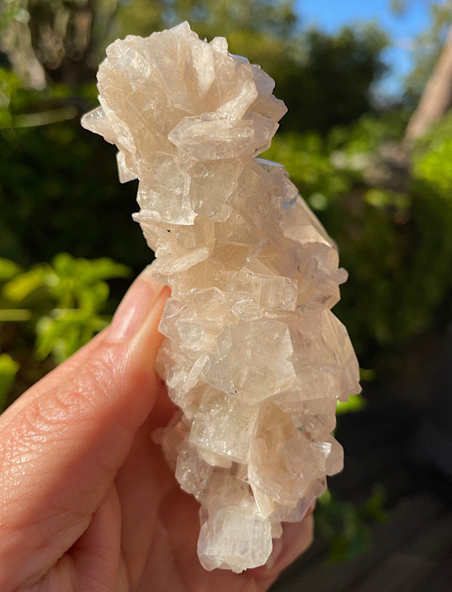 White Apophyllite Cluster