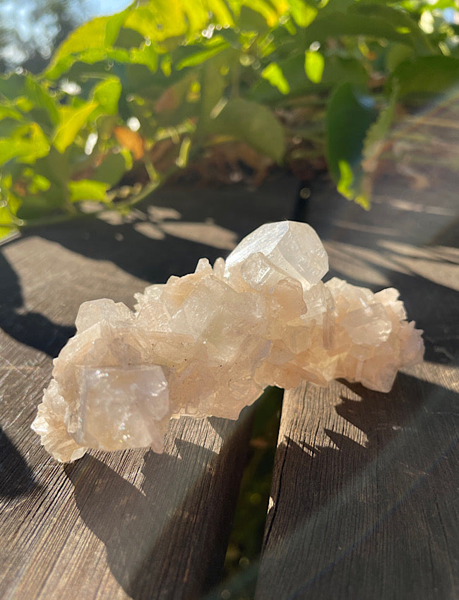 White Apophyllite Cluster
