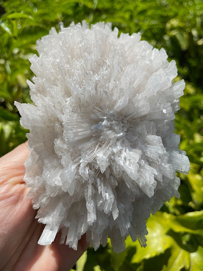 Scolecite