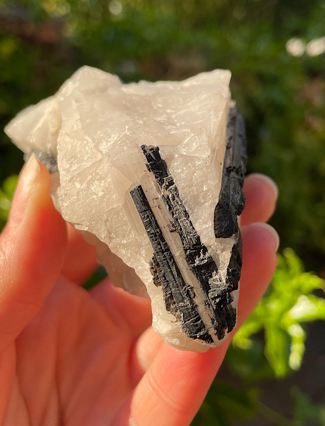 Black Tourmaline in Quartz Matrix