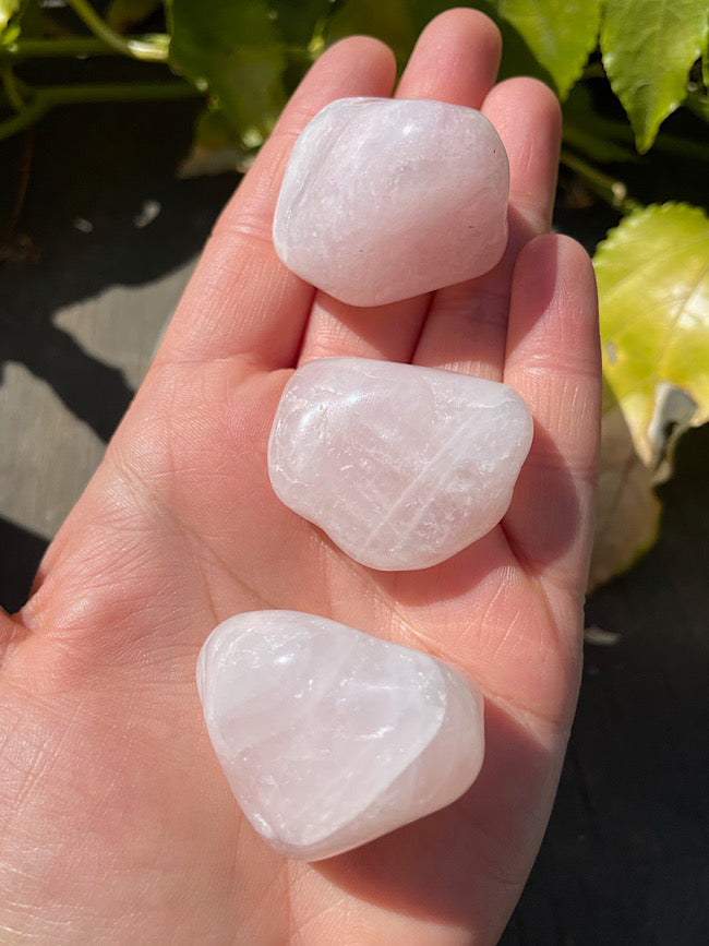 Rose Quartz Tumbled