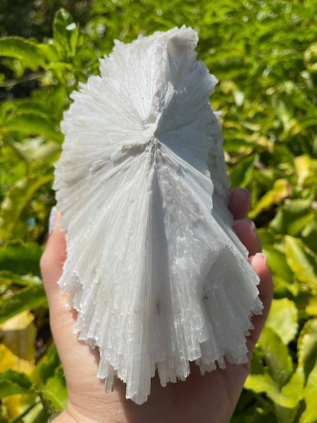 Scolecite