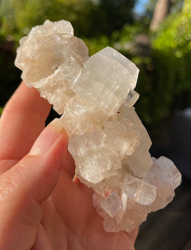 White Apophyllite Cluster