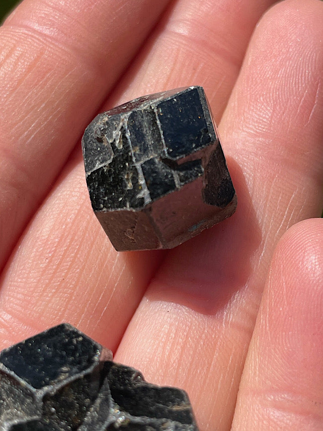 Black Garnet Raw