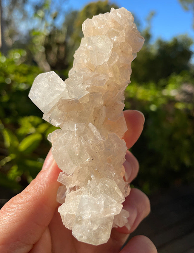 White Apophyllite Cluster