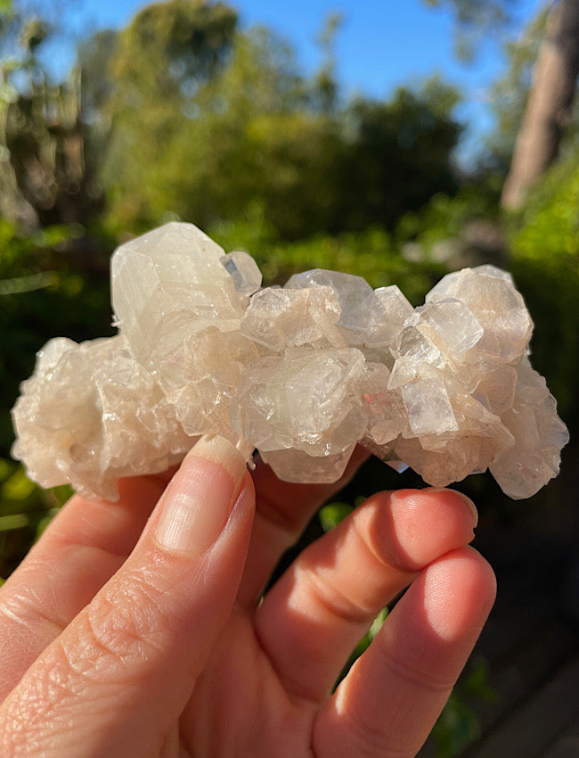 White Apophyllite Cluster