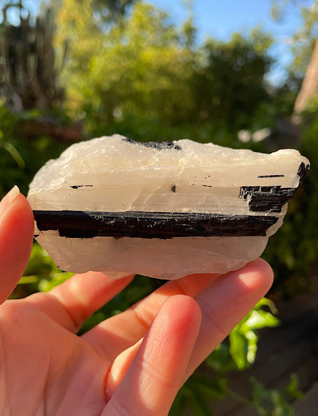 Black Tourmaline in Quartz Matrix
