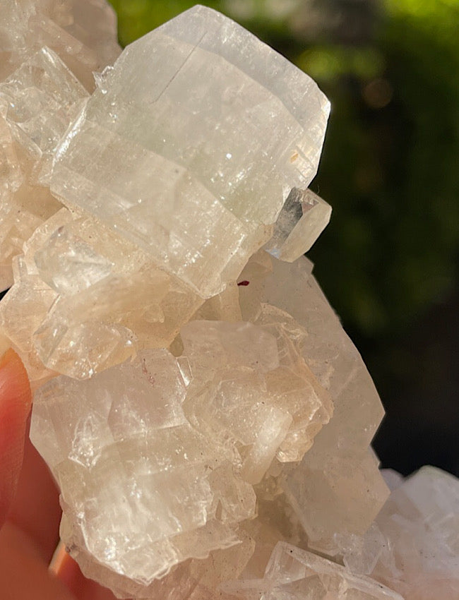 White Apophyllite Cluster
