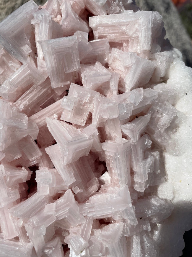 Pink Halite