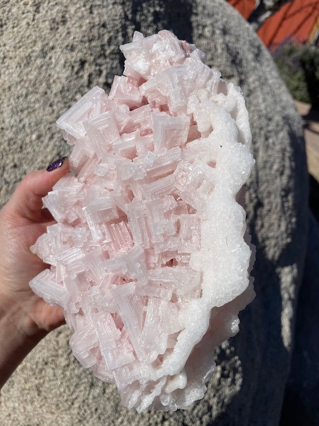 Pink Halite