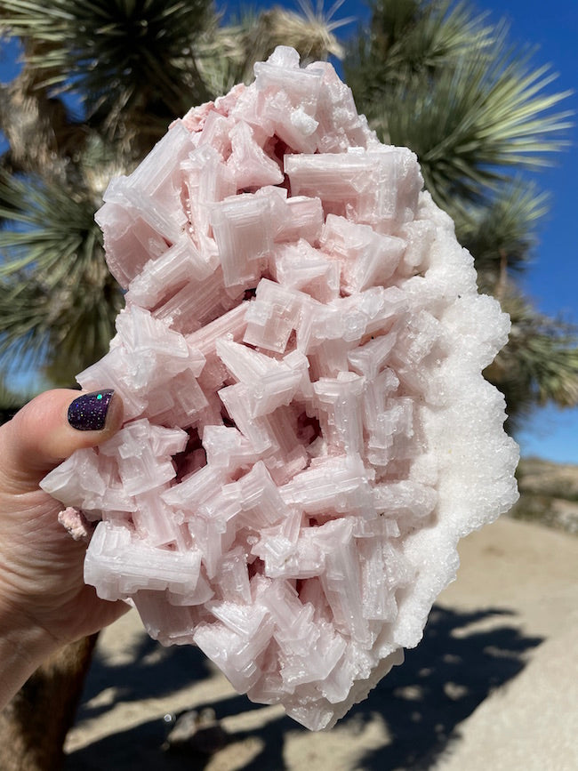 Pink Halite