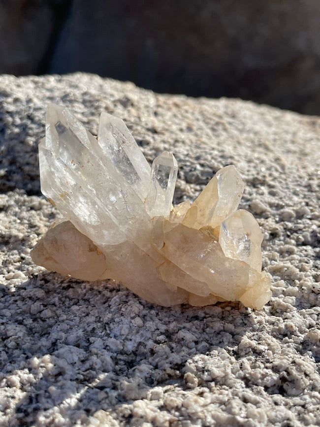 Lemurian Quartz Cluster