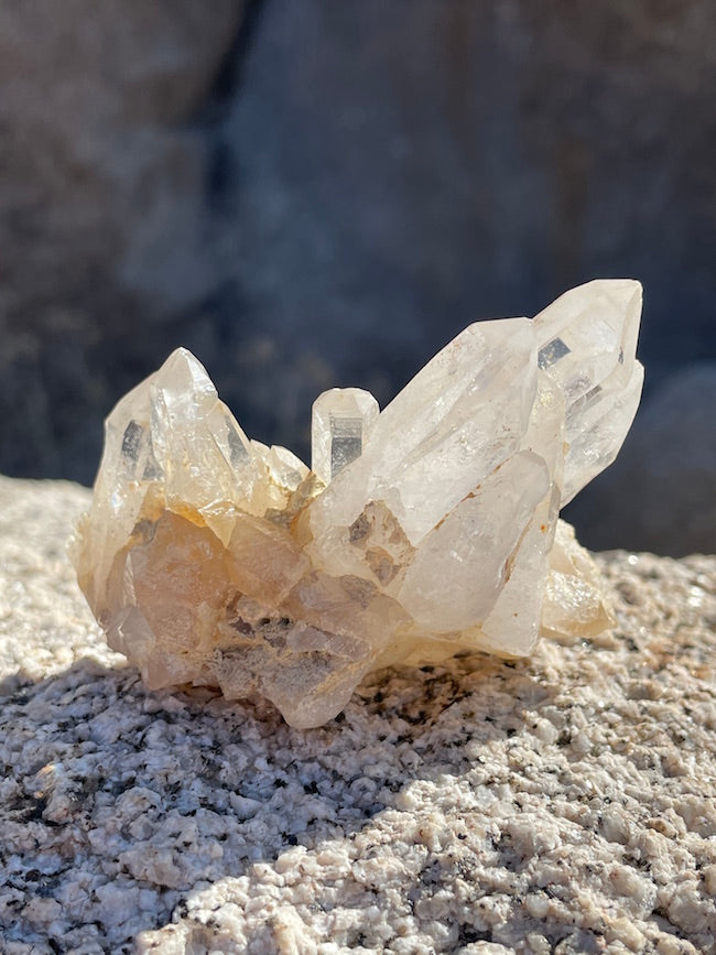 Lemurian Quartz Cluster