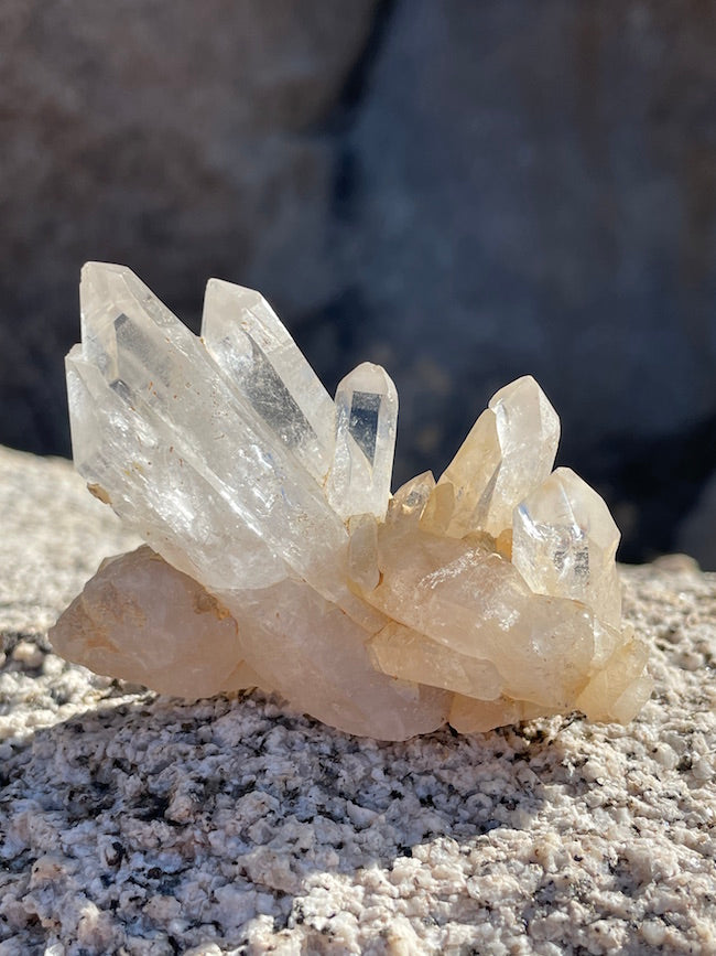 Lemurian Quartz Cluster