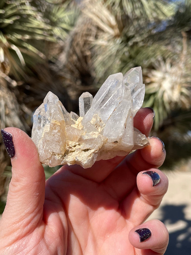 Lemurian Quartz Cluster