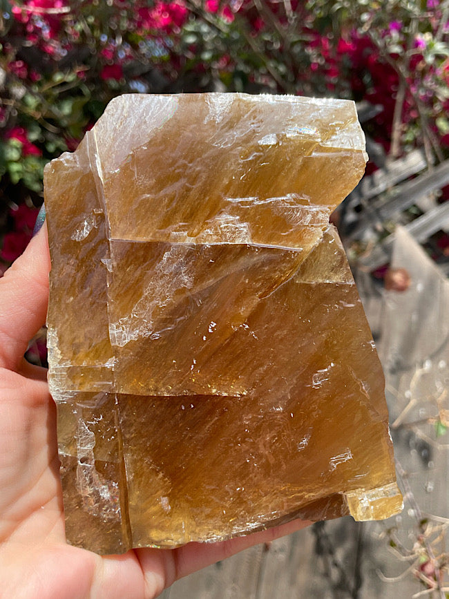 Honey Calcite Free Form