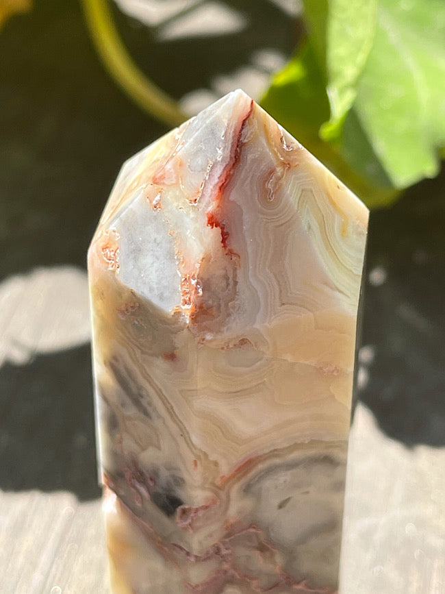 Crazy Lace Agate Point