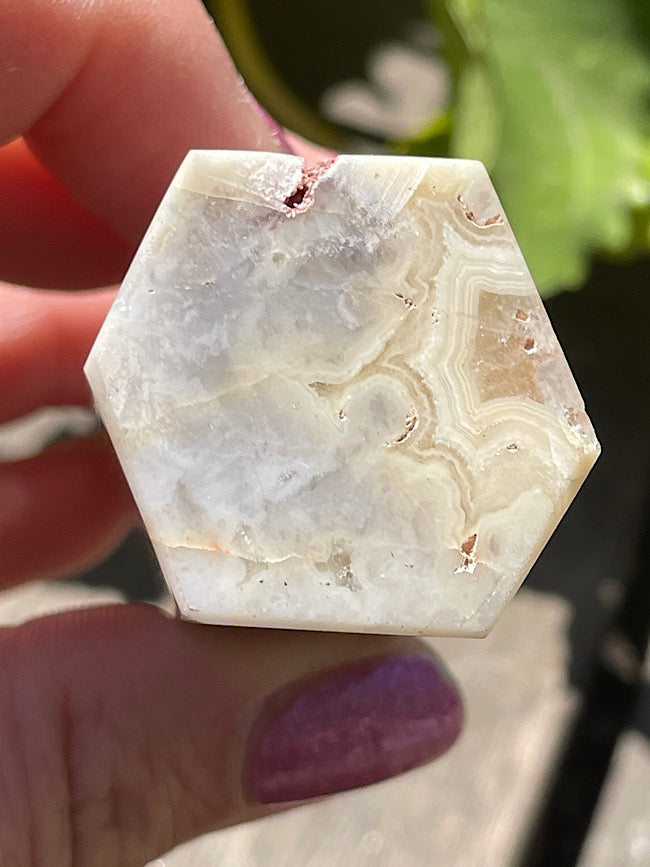 Crazy Lace Agate Point