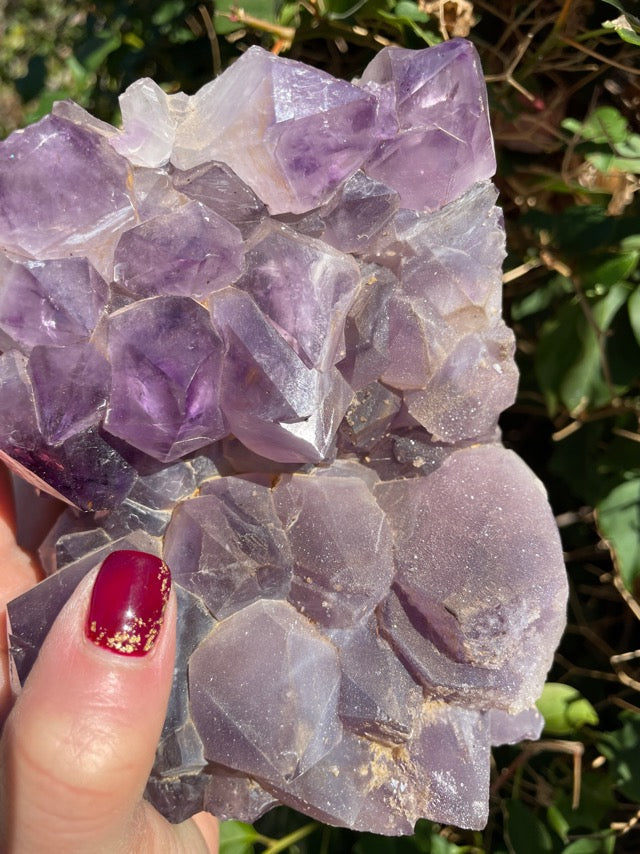 Large Amethyst Cluster