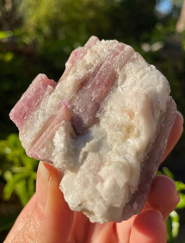 Pink Tourmaline In Quartz Matrix