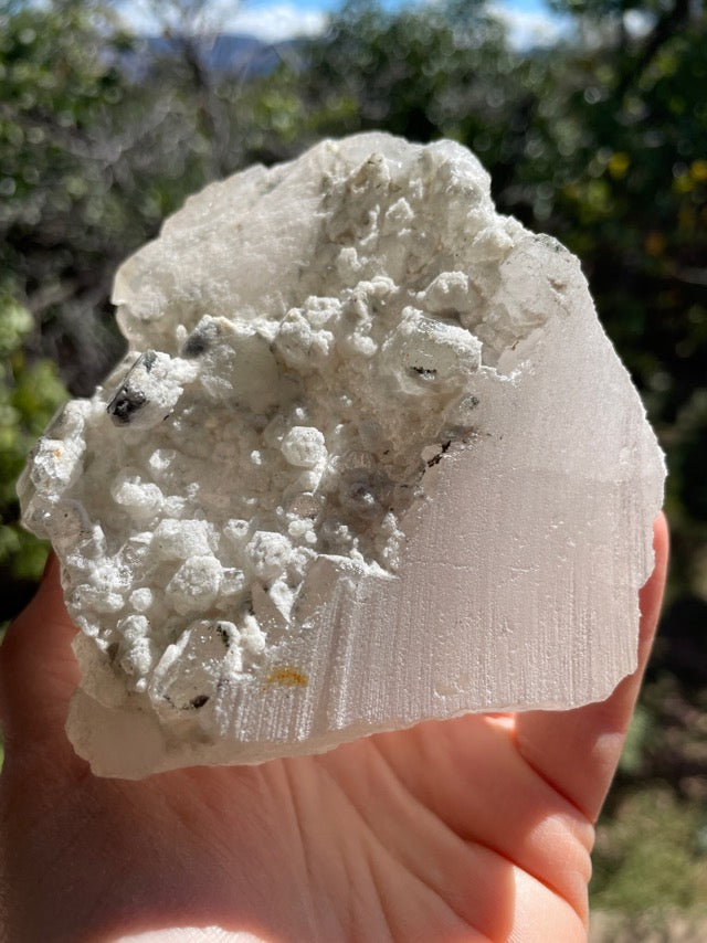 Chlorite Quartz Raw Formation