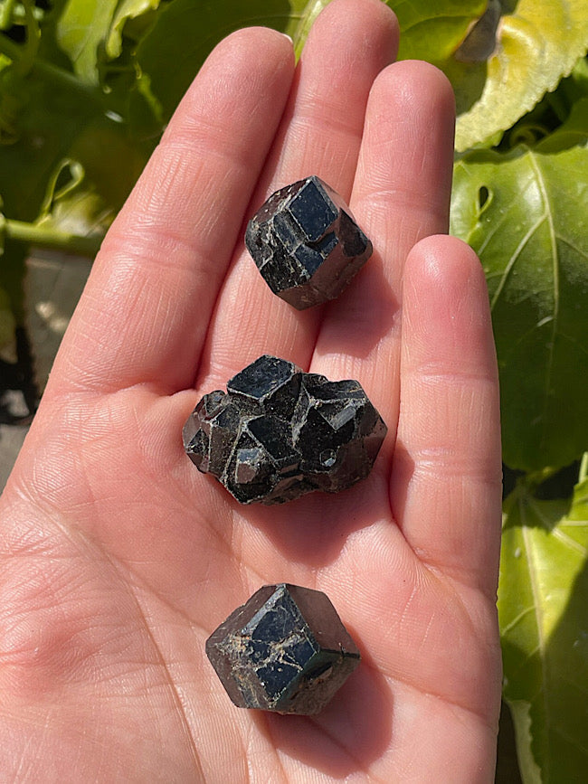 Black Garnet Raw