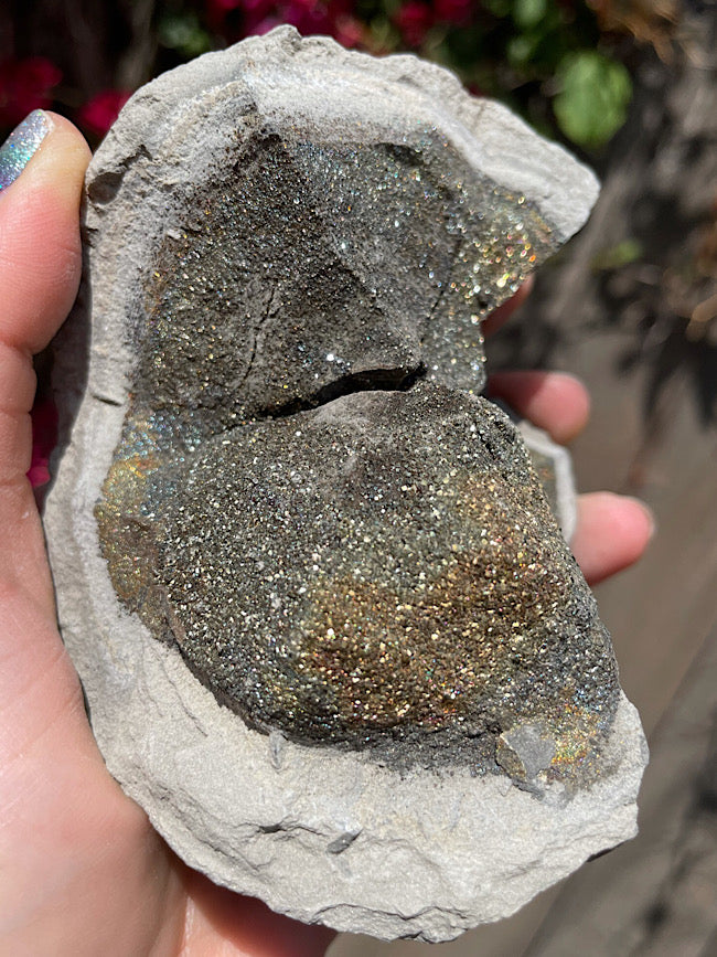 Rainbow Pyrite