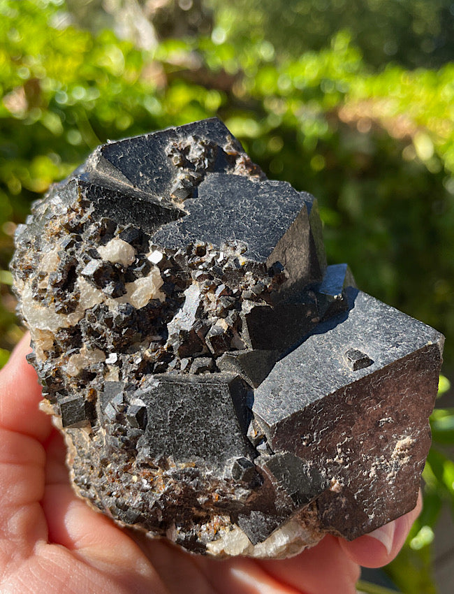 Black Garnet Raw Formation